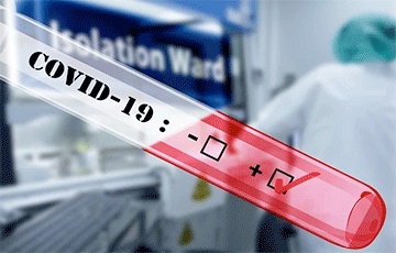 В Беларуси частным медцентрам разрешили проводить ПЦР-тесты на коронавирус