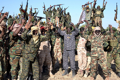 Армия Чада уничтожила 207 боевиков «Боко Харам» в Нигерии