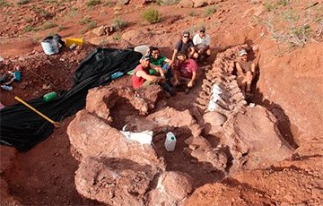 В Аргентине нашли останки гигантского титанозавра