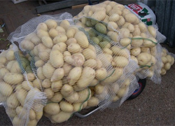 «Россельхознадзор» забраковал украинскую картошку