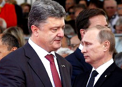 Порошенко и Путин проведут переговоры в Милане