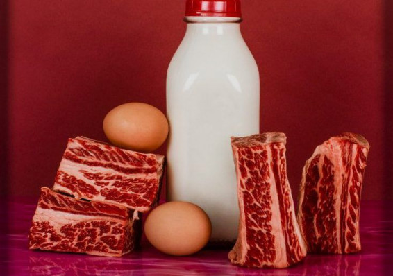 Беларусь рассчитывает начать поставки молока и мяса во Вьетнам