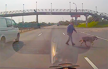 Видеофакт: Минчанин остановил движение на МКАД, чтобы спасти собаку