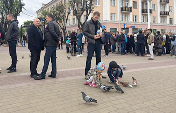 В Бресте на «кормление голубей» вышли более 120 человек