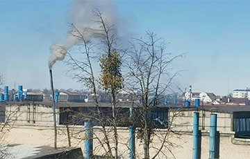 «Белый лист за утро стал черным»: Жителей Барановичей беспокоит едкий дым из заводской трубы