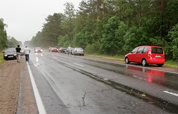 Поваленные деревья, подтопленные улицы: непогода прошлась по Брестской области