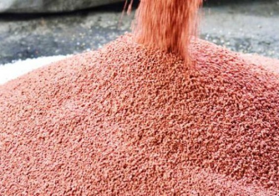 Беларусь поставит в Бангладеш 450 тысяч тонн калийных удобрений