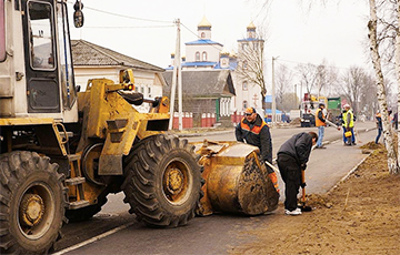 К приезду Лукашенко в Ветке вырубили почти все деревья