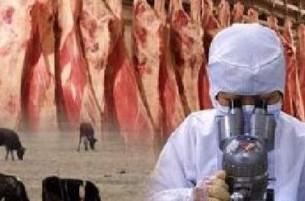 В Беларуси введен запрет на ввоз мяса и спермы животных, а так же кошачьего корма из Израиля