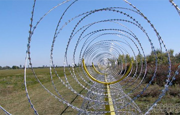 Стало известно, когда Литва построит двухметровый забор на границе с Беларусью