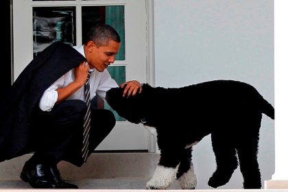 Представившийся сыном Монро и Кеннеди собирался украсть собаку Обамы