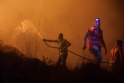 Из-за лесных пожаров в Португалии погибли 27 человек