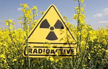 Экологи: Нельзя думать, что в Чернобыльскую зону можно просто вернуться и спокойно жить
