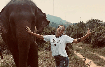Видеофакт: Арина Соболенко помыла слона в Таиланде