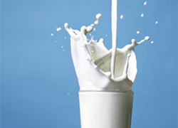 Дешевое молоко пропало и в Могилеве