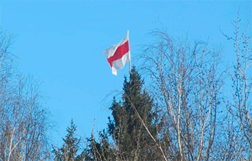 Партизаны Дзержинска украсили национальными флагами территории вдоль крупных автодорог