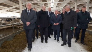 Лукашенко инспектирует Минскую область: «Дурница должна быть закончена»