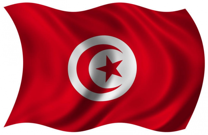 Тунис отменил визы для граждан Беларуси