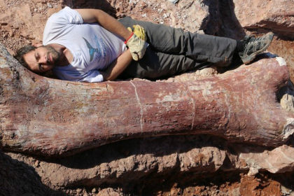 Палеонтологи нашли останки крупнейшего сухопутного животного