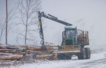 В Беларуси все еще убирают лес после июльского урагана