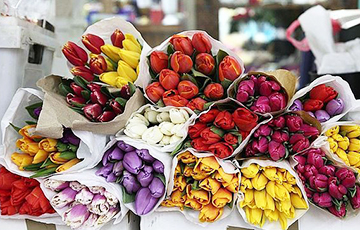 В Минске букет тюльпанов стоит в шесть раз дороже, чем в Варшаве
