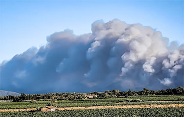 Во Франции вспыхнули масштабные лесные пожары из-за аномальной жары