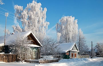 Зима пришла, а живущие в частных домах белорусы не могут купить дрова