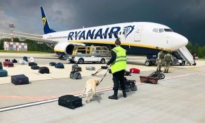 ICAO продлила срок расследования инцидента с рейсом Ryanair