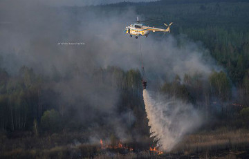 Министр экологии Украины: Пожар под Чернобылем могли устроить диверсанты из России