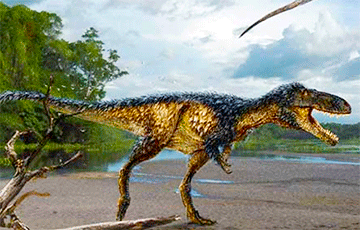 В Альпах нашли самого древнего хищного динозавра