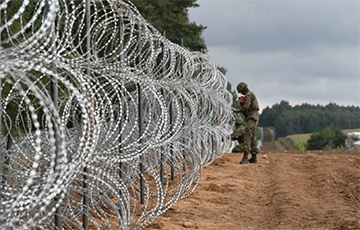 Польша построила первые километры ограждения на границе с Беларусью