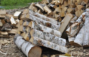 Подарок к зиме: В Могилевской области поднимают цены на дрова и брикет