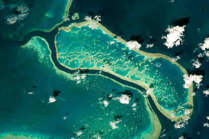 Эксперты оценили стоимость Большого Барьерного рифа