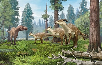 Ученые открыли два новых вида гигантских динозавров