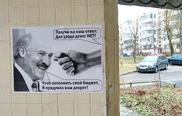 «Вот достойный ответ  на нелепые декреты Лукашенко»
