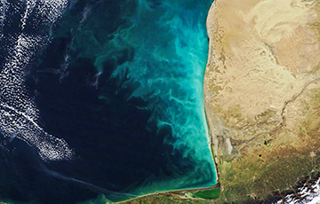 NASA показало «молочные вихри» в Каспийском море