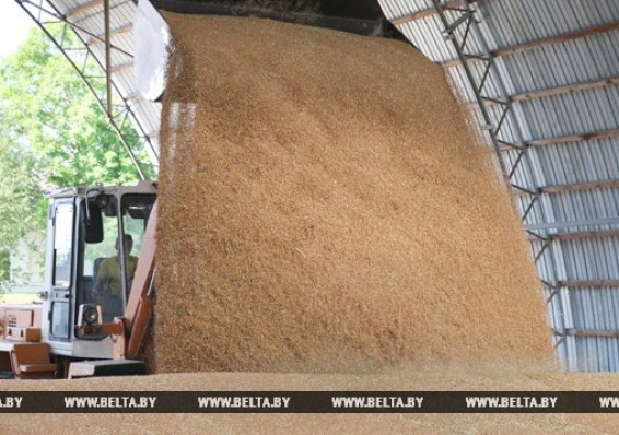 Беларусь соберет урожай в 10 миллионов тонн