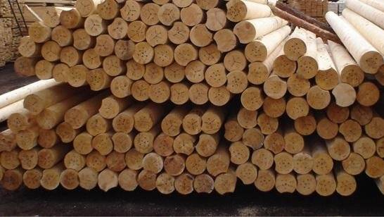 На Белорусской товарной бирже впервые выкуплен весь доступный объем лесоматериалов