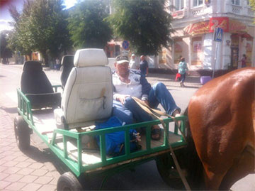 Фотофакт: В Бобруйске появилось конное такси