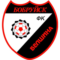 ФК «Белшина» обратился в милицию из-за нападения на автобус клуба