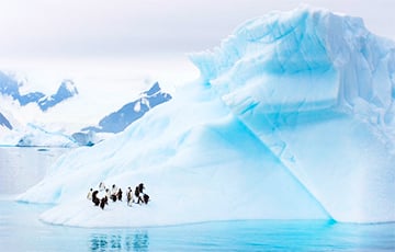 Ученые: Маори могли открыть Антарктиду на 1000 лет раньше европейцев