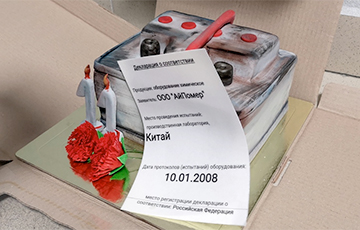 Фотофакт: Брестские активисты принесли в офис компании «АйПауэр» съедобный «аккумулятор»