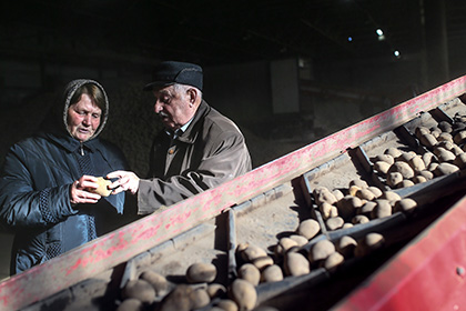 Инициативу Путина о развитии картофелеводства и птицеводства поддержат грантами