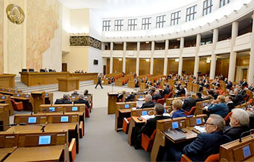 Анна Канопацкая: Настоящие тунеядцы сидят в «парламенте»