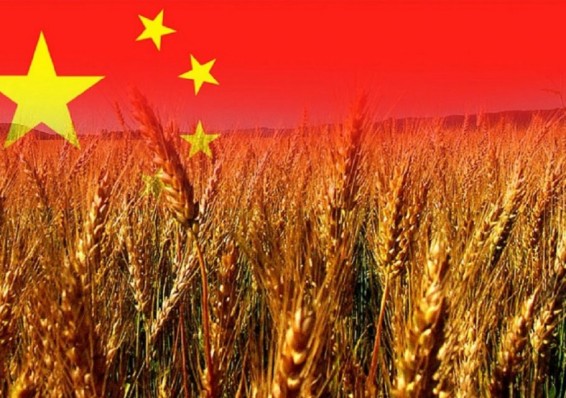 Китай планирует инвестировать в сельскохозяйственный сектор Беларуси
