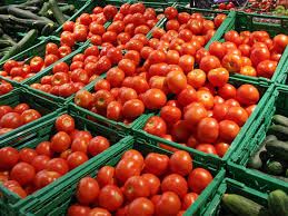 Россельхознадзор закрыл ввоз томатов через Беларусь из 9 стран Азии и Африки