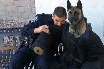 Укушенный полицейским пес стал жертвой зомби и утешил грустного Киану Ривза