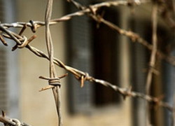Звонок заключенного: «Администрация лжет, отрицая факт избиения Мамедова»