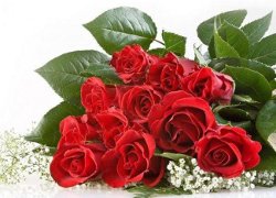 Белорусы предпочитают дарить розы, хризантемы и гвоздики