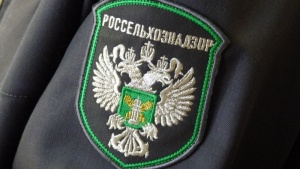 Россельхознадзор снимает запреты с поставок белорусских продуктов
